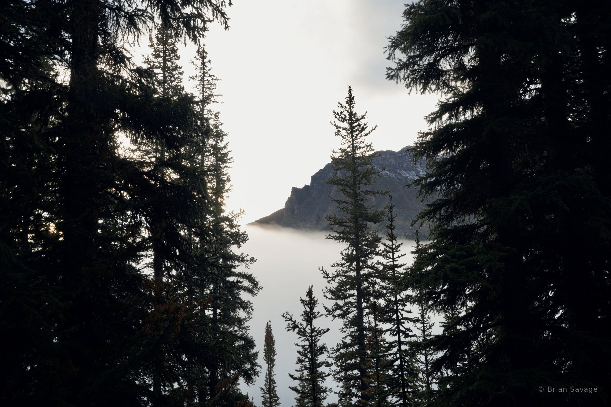 Above the Fog, Moraine Lake, Alberta
