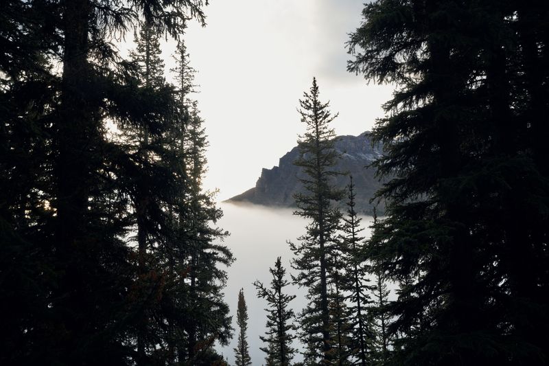 Above the Fog, Moraine Lake, Alberta