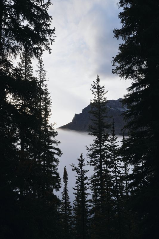 Above the Fog, Vertical, Moraine Lake, Alberta