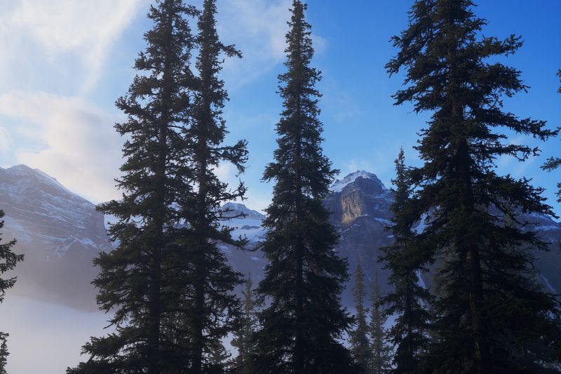 First Sun, Larch Valley, Banff