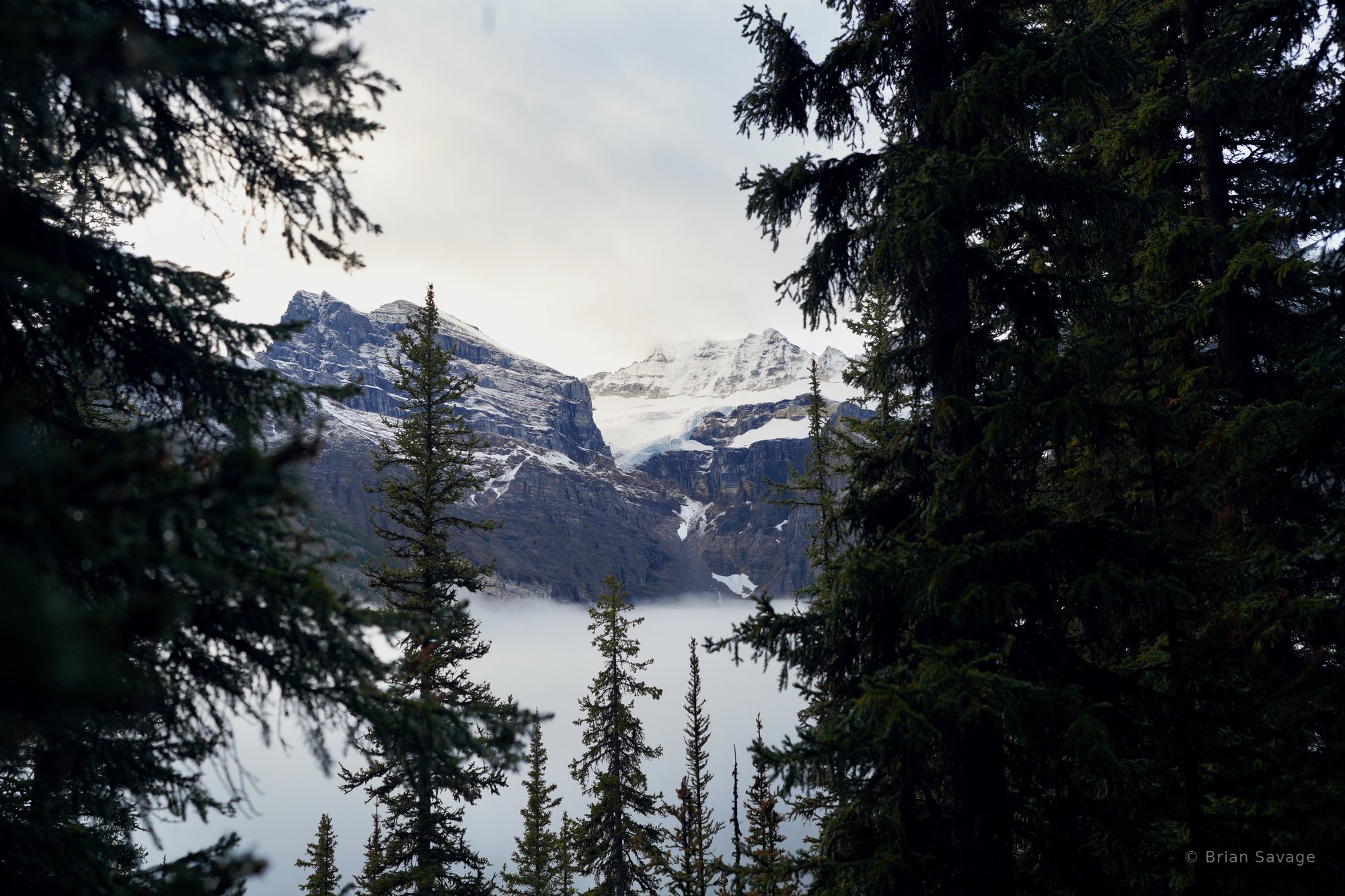 Glacier Through the Trees, Moraine Lake, Alberta