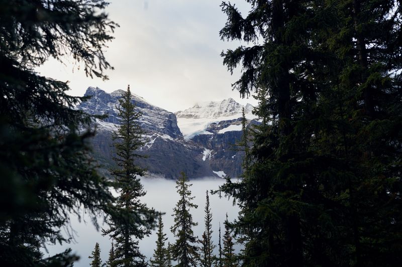 Glacier Through the Trees, Moraine Lake, Alberta