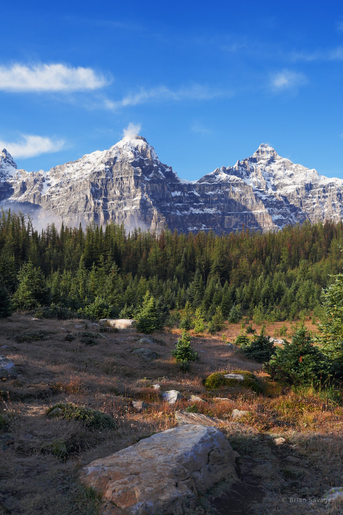 Larch Valley Meadow, Larch Valley, Banff