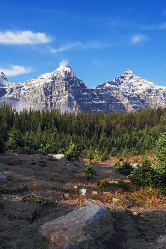 Larch Valley Meadow, Larch Valley, Banff