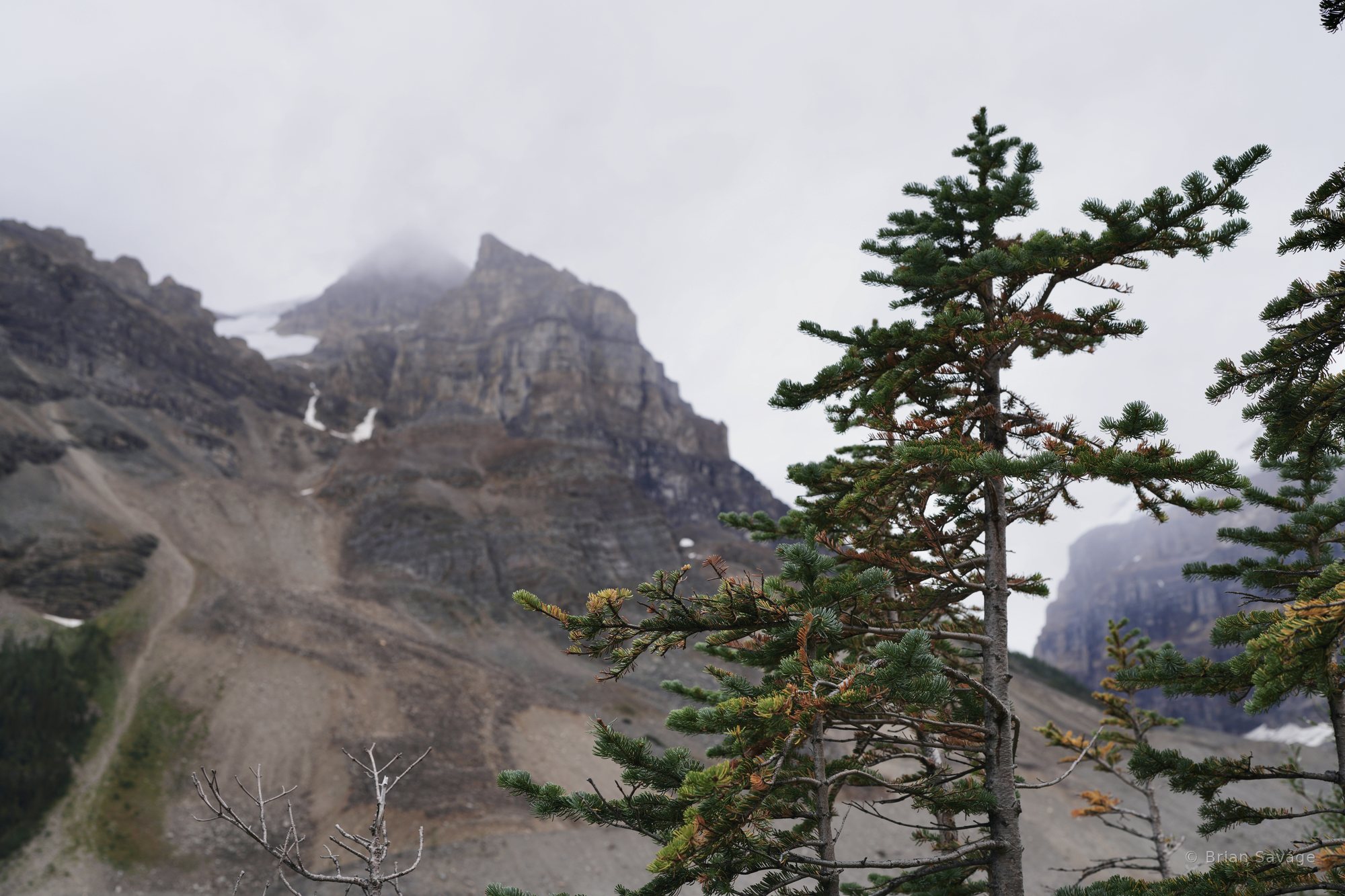 Peak in the Cloud, Plain of Six Glaciers, Banff