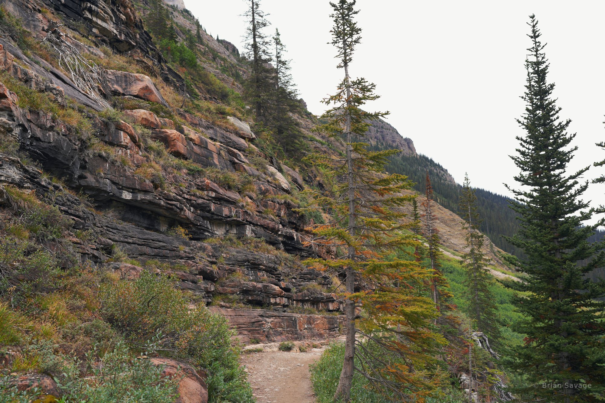 Red Ledges, Plain of Six Glaciers, Banff