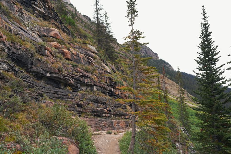 Red Ledges, Plain of Six Glaciers, Banff