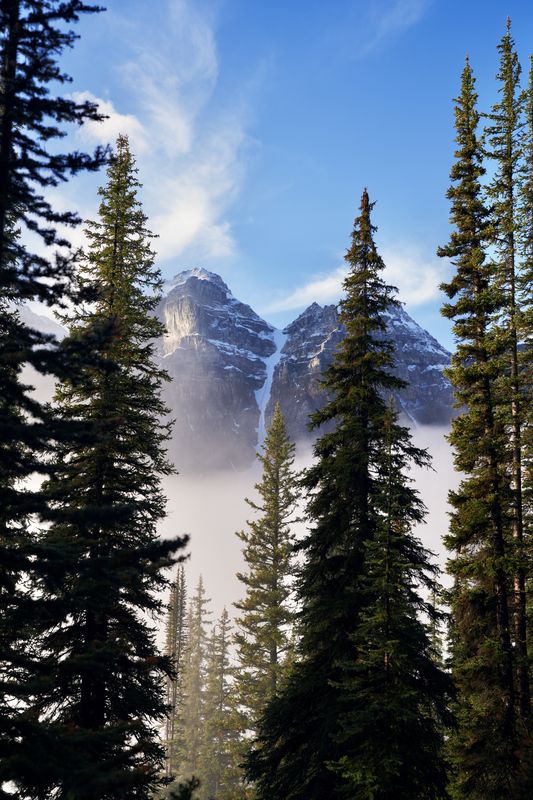 Rising Fog, Larch Valley, Banff